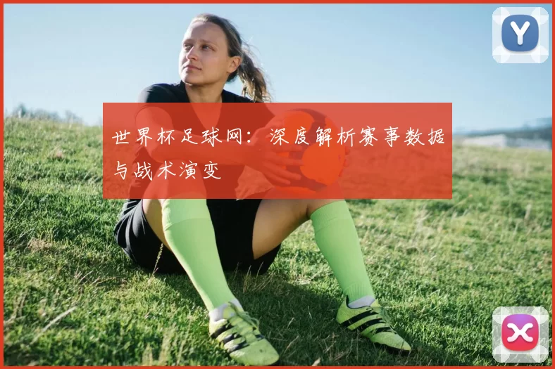 世界杯足球网：深度解析赛事数据与战术演变
