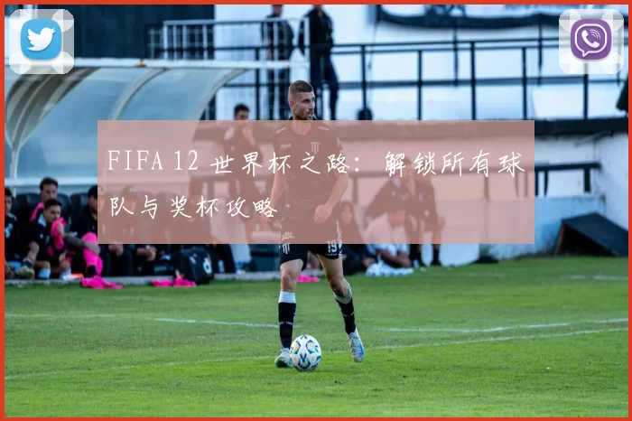 FIFA 12 世界杯之路：解锁所有球队与奖杯攻略