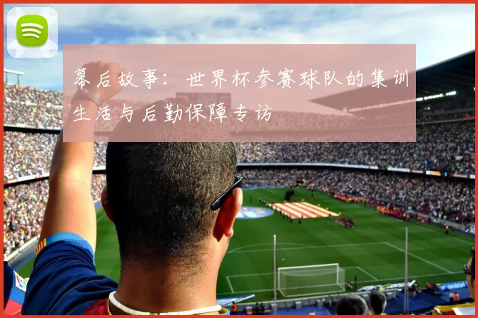 幕后故事:世界杯参赛球队的集训生活与后勤保障专访