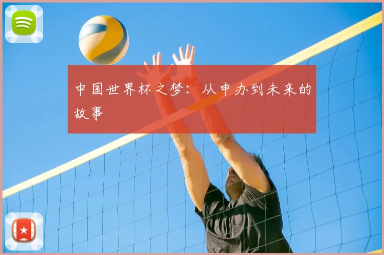 中国世界杯之梦：从申办到未来的故事