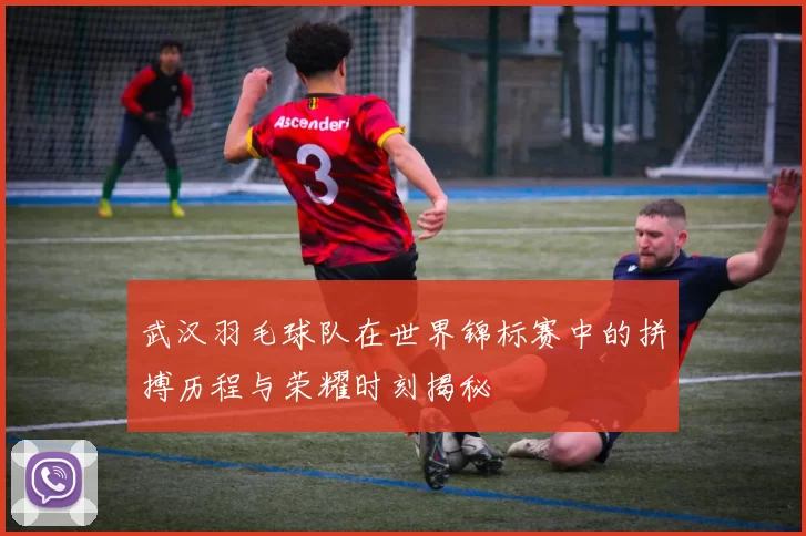 武汉羽毛球队在世界锦标赛中的拼搏历程与荣耀时刻揭秘