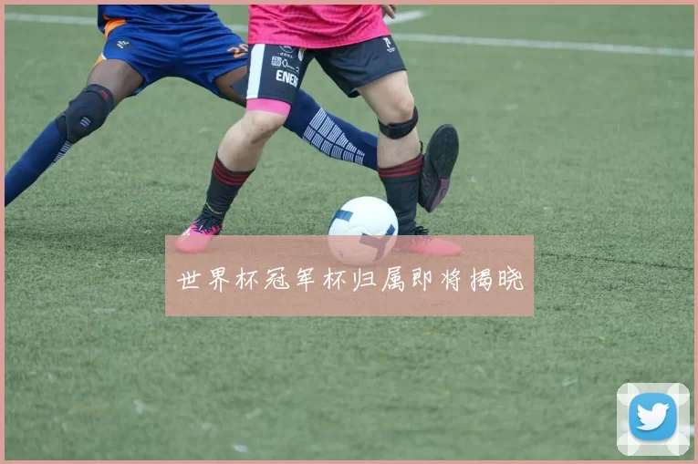 世界杯冠军杯归属即将揭晓