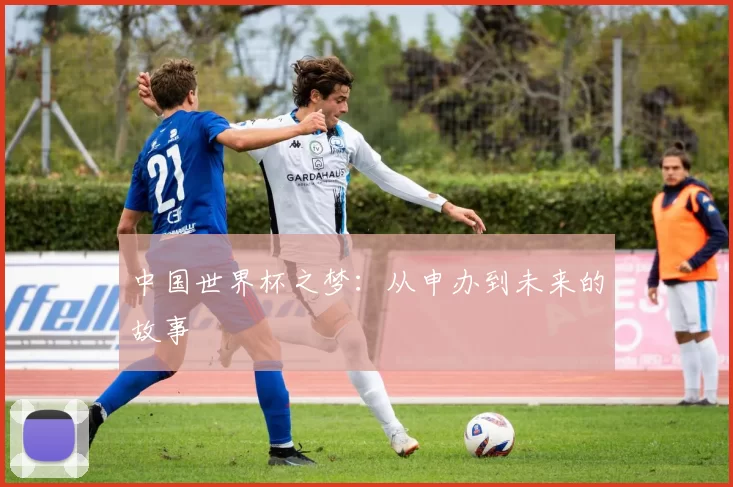 中国世界杯之梦：从申办到未来的故事