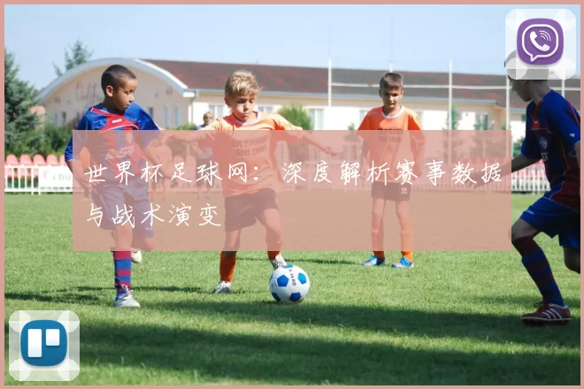 世界杯足球网：深度解析赛事数据与战术演变